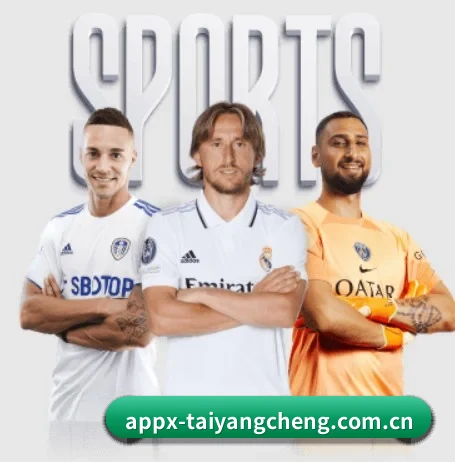 太阳城平台 APP